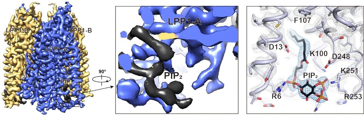 1769068804498 图二